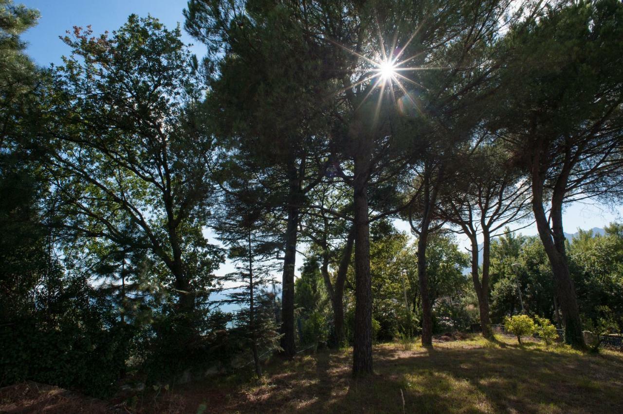 Verde Smeraldo Salerno Bagian luar foto